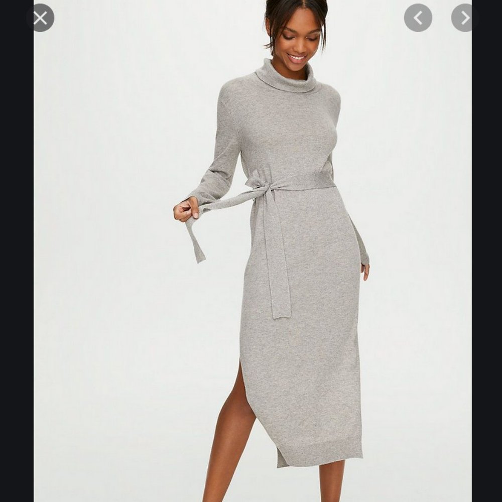 Aritzia Babaton Ono dress